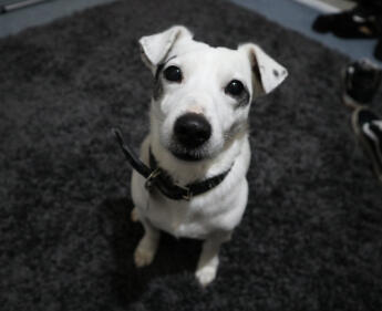 Maya Chen profile photo