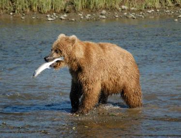 Alex Martinez avatar