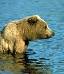 Alex Martinez avatar