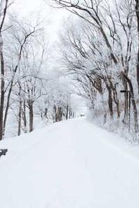 Maya Chen profile photo