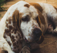 Leo Anders profile photo