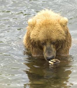 Leo Anders profile photo