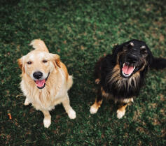 Leo Anders profile photo