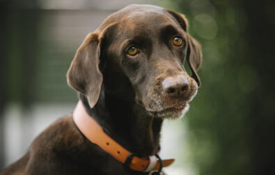 Alex Martinez avatar