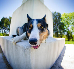 Jonas Richter profile photo