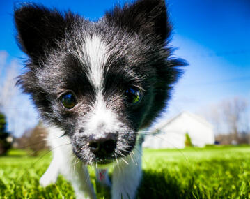 Maya Chen profile photo