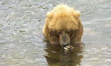 Jonas Richter profile photo