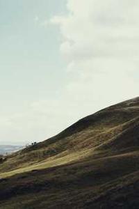 Maya Chen profile photo