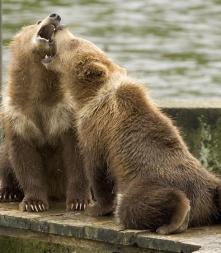 Jonas Richter profile photo