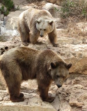 Jonas Richter profile photo