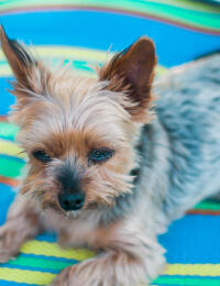 Jonas Richter profile photo