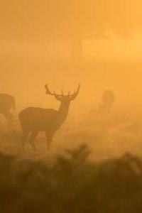 Alex Martinez avatar