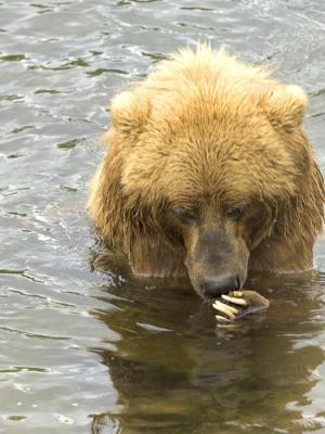 Leo Anders profile photo