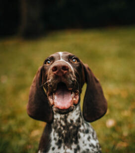 Leo Anders profile photo