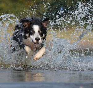 Maya Chen profile photo