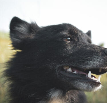 Alex Martinez avatar