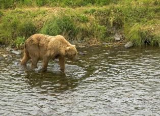 Leo Anders profile photo