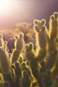 Alex Martinez avatar