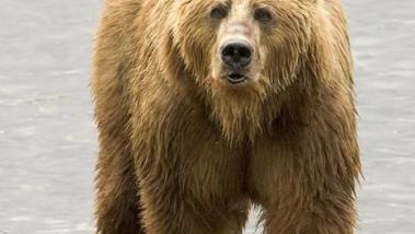 Jonas Richter profile photo