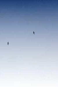 Maya Chen profile photo