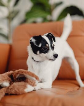 Alex Martinez avatar