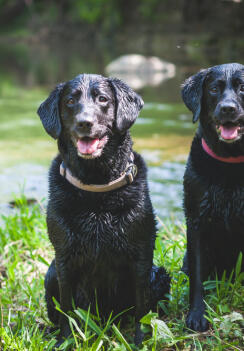 Alex Martinez avatar