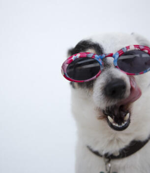 Maya Chen profile photo