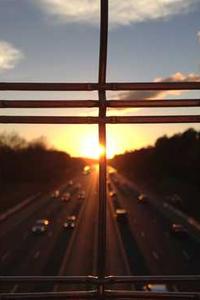 Maya Chen profile photo