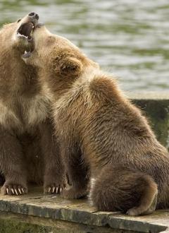 Jonas Richter profile photo