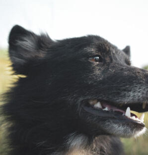 Alex Martinez avatar