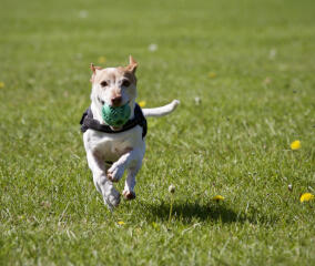 Alex Martinez avatar