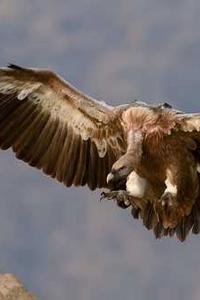 Jonas Richter profile photo