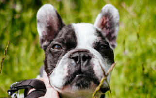 Leo Anders profile photo