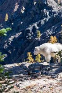 Alex Martinez avatar