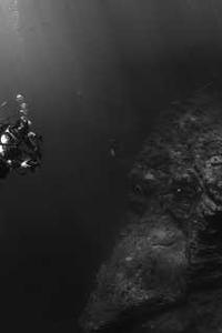 Leo Anders profile photo