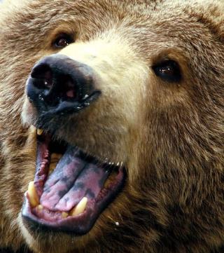 Alex Martinez avatar