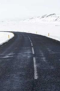 Maya Chen profile photo