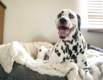 Jonas Richter profile photo