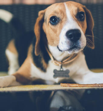 Leo Anders profile photo