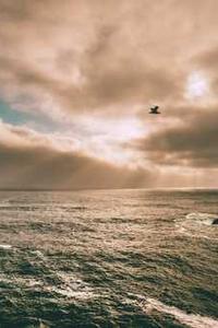 Alex Martinez avatar