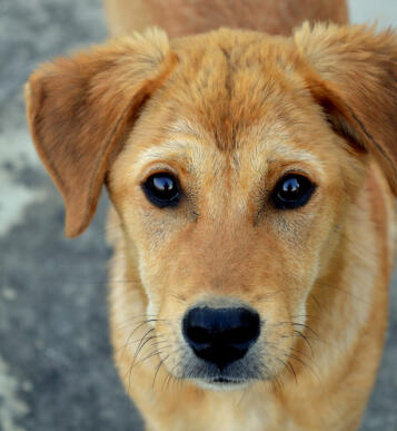 Jonas Richter profile photo