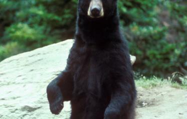 Alex Martinez avatar