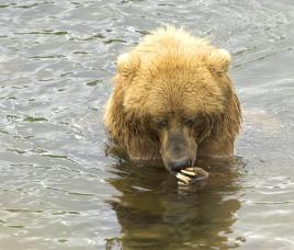 Leo Anders profile photo