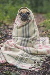 Jonas Richter profile photo