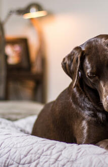 Jonas Richter profile photo