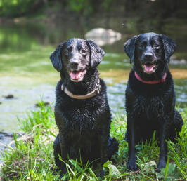 Leo Anders profile photo