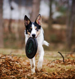 Alex Martinez avatar