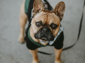 Leo Anders profile photo