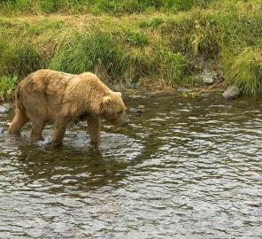 Leo Anders profile photo