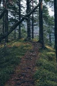 Leo Anders profile photo